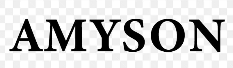 Amyson Store